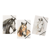 Sammelmappe A4 Best Friend sortiert