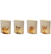 Poesielicht Lucky Friends sortiert