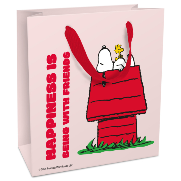 8 Stück Braun und Company Geschenktasche 1568-26117, Snoopy, 180mm x 210mm 4014995512475 Braun und Company