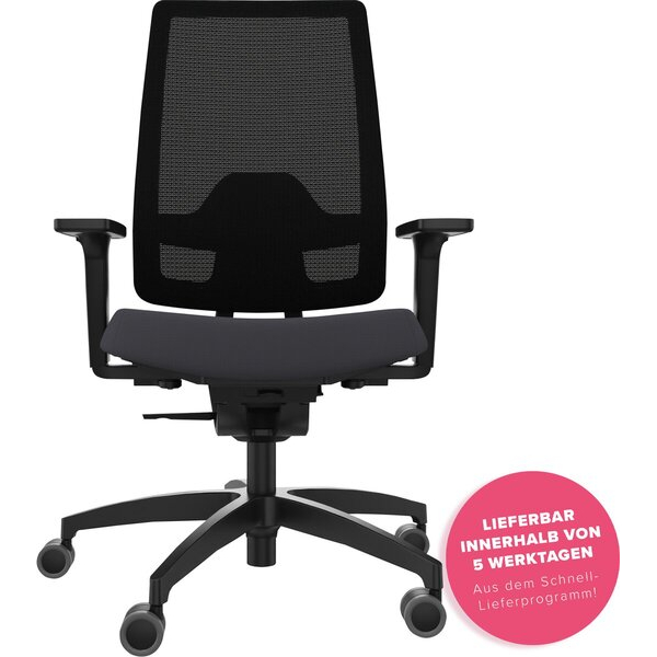 4260749142959 - Drehstuhl Indeed automatic Mesh 3F Armlehnen hohe Netz-Rückenlehne Lumbalstütze Fußkreuz schwarz Sitzbezug Sealife schwarz
