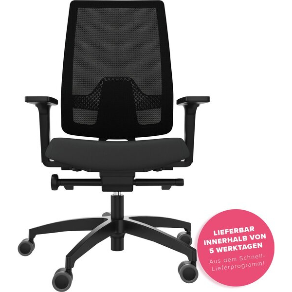 4260749143840 - Drehstuhl Indeed Mesh 2F Armlehnen Sitzbezug Polo schwarz hohe Netz- Rückenlehne Lumbalstütze Fußkreuz schwarz teilzerlegt 