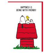 Gl&uuml;ckwunschkarten 5080-26000 11,5x17 cm 115mm x 170mm (BxH) bunt