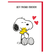 Gl&uuml;ckwunschkarten 5080-26001 11,5x17 cm 115mm x 170mm (BxH)