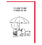 Gl&uuml;ckwunschkarten 5080-26004 11,5x17 cm 115mm x 170mm (BxH) bunt