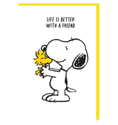 Gl&uuml;ckwunschkarten 5080-26006 11,5x17 cm 115mm x 170mm (BxH)