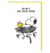 Gl&uuml;ckwunschkarten 5080-26007 11,5x17 cm 115mm x 170mm (BxH) bunt