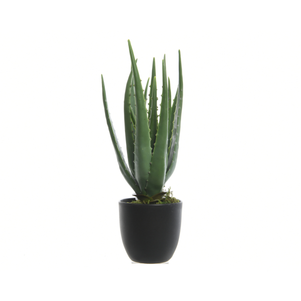 8718533677140 - Kunstpflanze Aloe Vera im Topf 8718533677140 Decoris