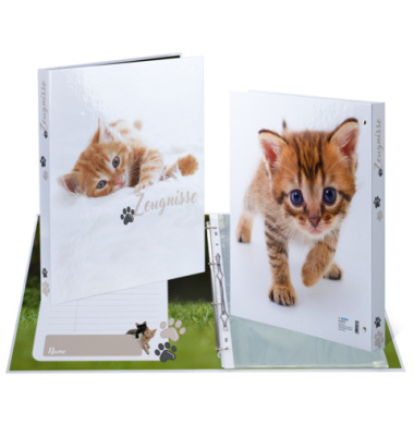 Ringmappe Zeugnis Katze