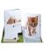 Ringmappe Zeugnis Katze