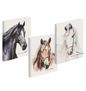 Ringbuch Pferd 20791-25, A4 2 Ringe 25mm Ring-&Oslash; Papier farbig sortiert