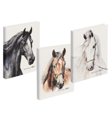 Ringbuch Pferd 20791-25, A4 2 Ringe 25mm Ring-Ø Papier farbig sortiert