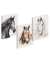 Ringbuch Pferd 20791-25, A4 2 Ringe 25mm Ring-&Oslash; Papier farbig sortiert