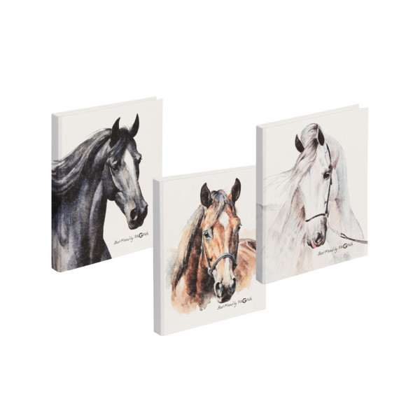9 Stück Pagna Ringbuch Pferd 20791-25, A4 2 Ringe 25mm Ring-Ø Papier farbig sortiert 4009212066381 Pagna