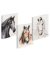 Ringbuch Pferd 20791-25, A4 2 Ringe 25mm Ring-&Oslash; Papier farbig sortiert
