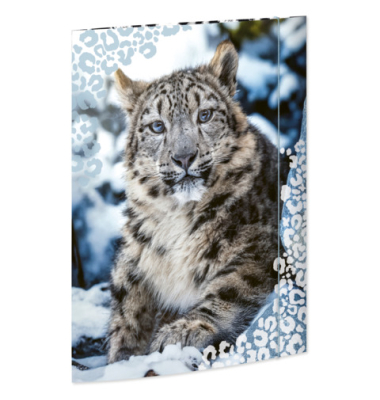 Gummizugmappe A3 Schneeleopard