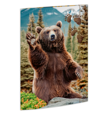 Gummizugmappe A3 B&auml;r