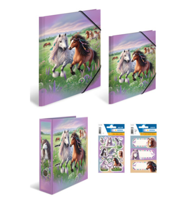 Warenpaket Pferdewelten sortiert