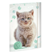 Gummizugmappe A3 Kitty