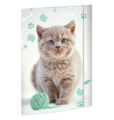 Gummizugmappe A3 Kitty