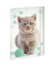 Gummizugmappe A3 Kitty