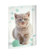 Gummizugmappe A3 Kitty