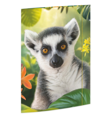 Gummizugmappe A3 Lemur