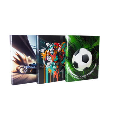 Ringmappe Kids Boys sortiert