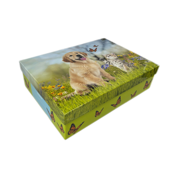Donau Schulbedarfsschachtel Bello & Kitty 9004546576204 Donau