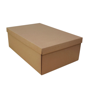Kartonbox f&uuml;r Sammelschublade DE 4-100DE 4-240 (VPE)