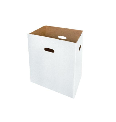 Kartonbox f&uuml;r StoreEx OMDD 130 (VPE)