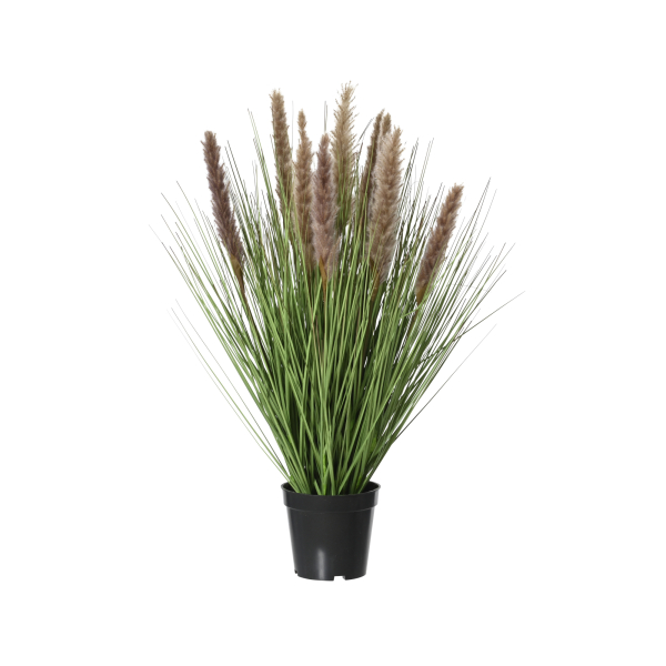 8720725125568 - Kunstpflanze im Topf 30x30x68cm 8720725125568 Decoris