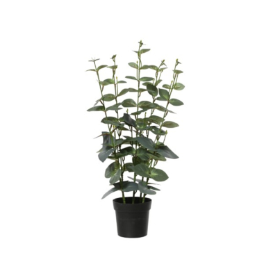 Eukalyptus Kuntspflanze 25x54cm gn