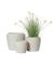 Topfset Lewis beige
