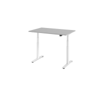 Sitz-Steh-Schreibtisch VXDLR, elektrisch h&ouml;henverstellbar, 127cm (H), 120x80cm (BxT), rechteckig, lichtgrau / wei&szlig;
