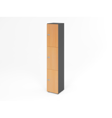 Schliessfachschrank 6OH GraphitBuche,3xZS