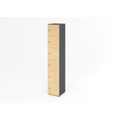 Schliessfachschrank 6OH GraphitAhorn,6xZS