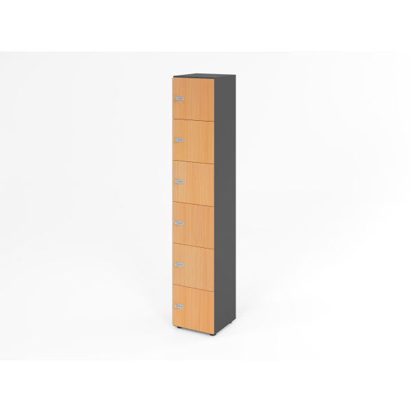 4032062314579 - HAMMERBACHER Schließfachschrank grafit buche V264L6 G 6 ZS 6 Schließfächer 400 x 420 x 2156 cm