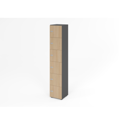Schliessfachschrank 6OH GraphitEiche,6xZS
