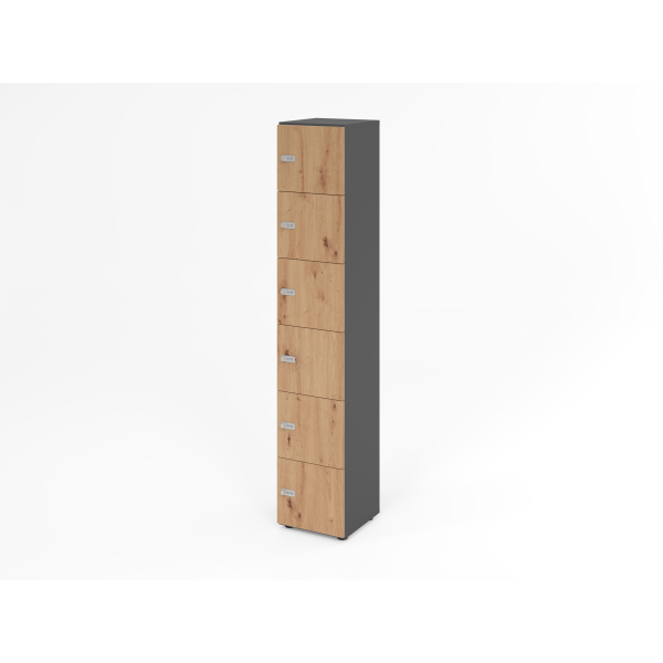 4032062314609 - HAMMERBACHER Schließfachschrank grafit asteiche V264L6 G R ZS 6 Schließfächer 400 x 420 x 2156 cm