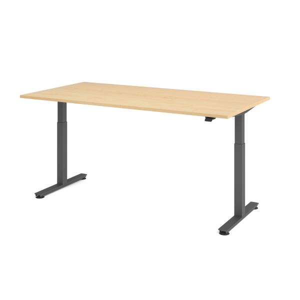 4032062334522 - Sitz-Steh-Schreibtisch VXMST elektrisch höhenverstellbar 120cm (H) ahorn   graphit 4032062334522 Hammerbacher