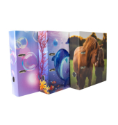 Ordner Kids Girls sortiert