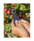 Mini Lupe 10x Expedition Natur