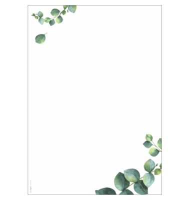 Briefpapier DP626, gr&uuml;n, Eukalyptus, 90g