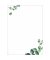 Briefpapier DP626, gr&uuml;n, Eukalyptus, 90g