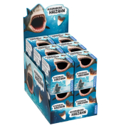 Display Ausgrabung Hai-Zahn 12 Ex.