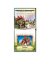 Kinderbuch Dinosaurier 3D Bilder