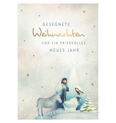 D.T.Weihnachtskarten midi heilig