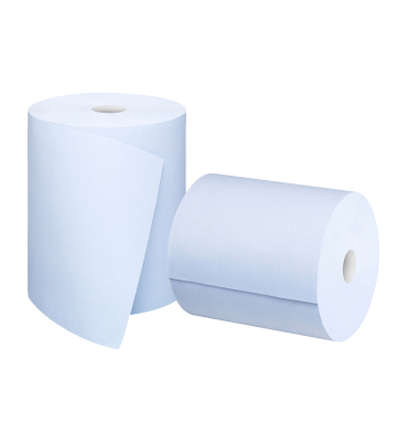 Satino Putzrolle HiCycle 2lg 1000Bl 2St