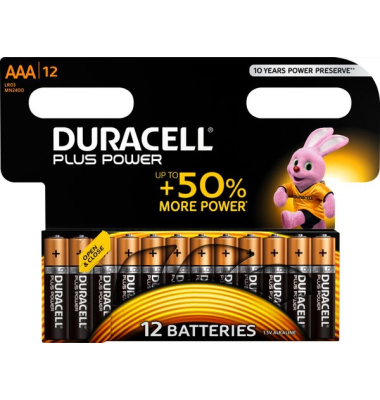 Batterie Plus Power