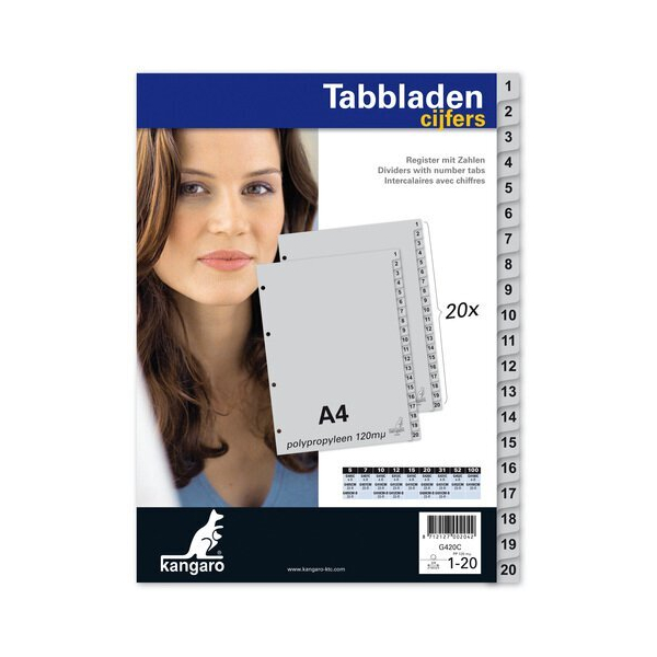 KANGARO Register G420C DIN A4 20-teilig 4-fach Kunststoff 1 bis 20